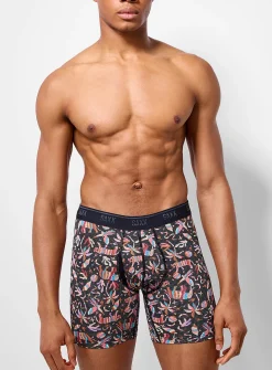 6" colourful zoo micro-dotwork boxer brief