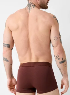 3" comfort brown trunk