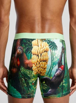 5" Kong boxer brief