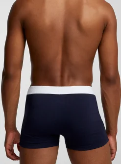 2.5" striped-band trunk