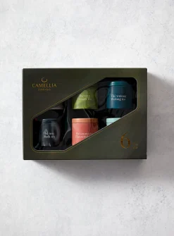 6 teas discovery set