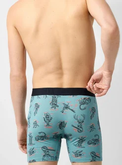 6" Western boxer brief