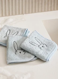 Adorable companion washcloths