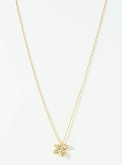 Ajani chain