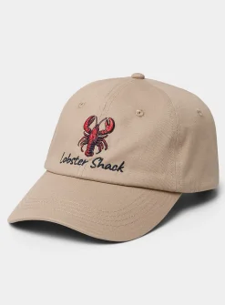 Animal embroidery dad cap