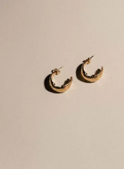 Armour Amour earrings