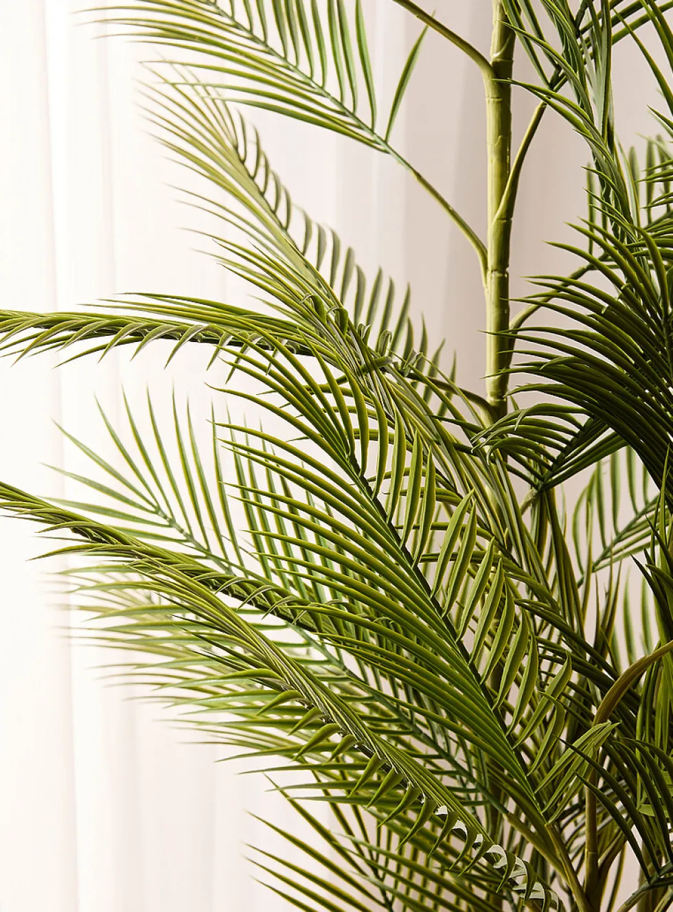 Artificial California fan palm tree plant