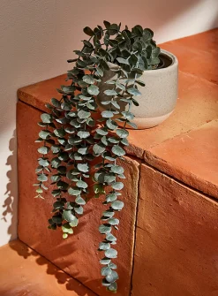 Artificial eucalyptus plant