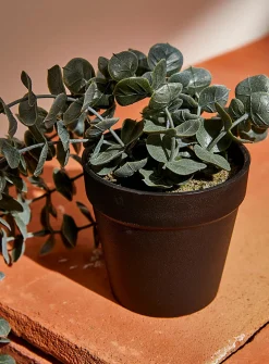 Artificial eucalyptus plant