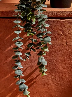 Artificial eucalyptus plant