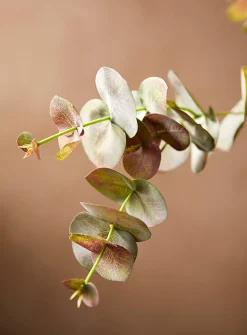 Artificial green eucalyptus branch