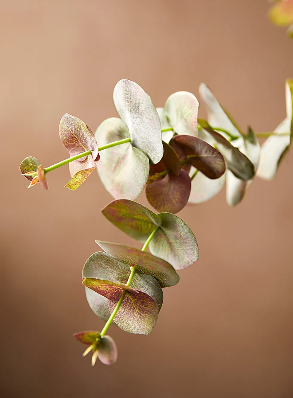 Artificial green eucalyptus branch