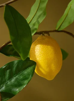 Artificial lemon tree branch