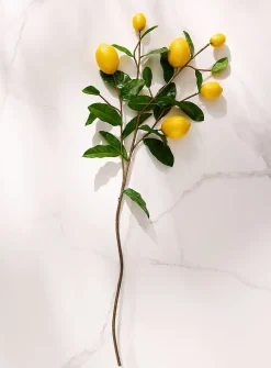 Artificial lemon tree branch