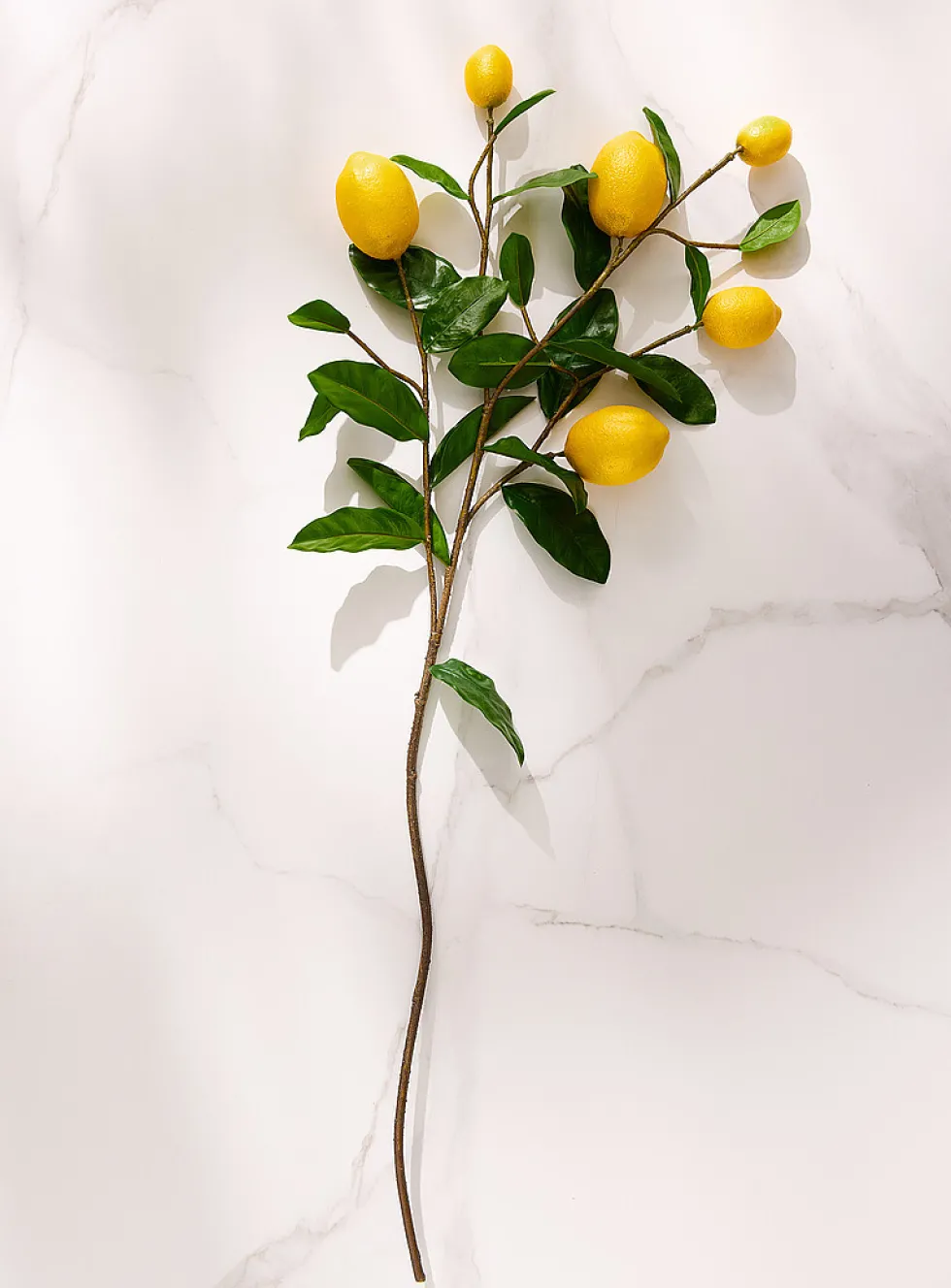 Artificial lemon tree branch