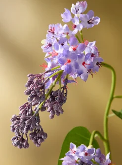 Artificial lilac branch