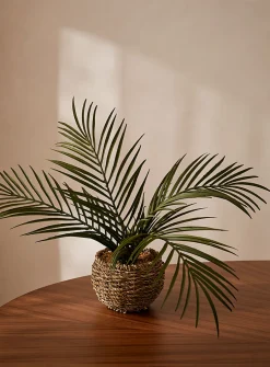 Artificial palm tree plant