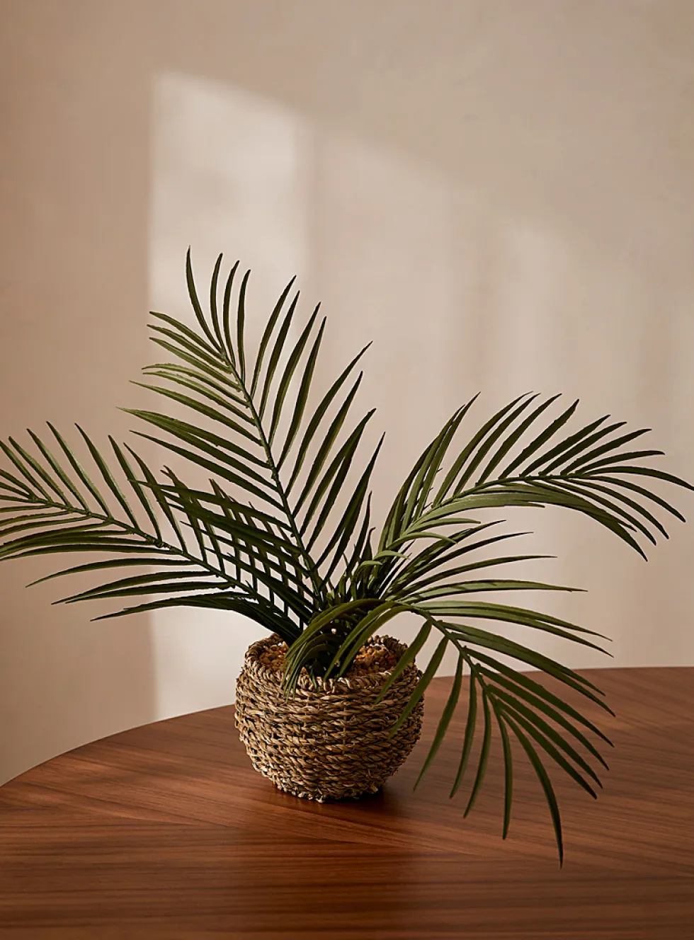 Artificial palm tree plant