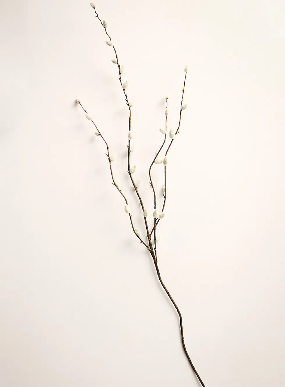 Artificial pussy willow branch