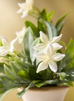 Artificial stephanotis branch