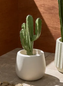 Belly rounded indoor/outdoor planter