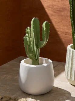 Belly rounded indoor/outdoor planter