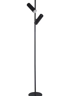 Black double head projection floor lamp