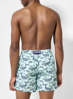 Blue whale swim trunk
