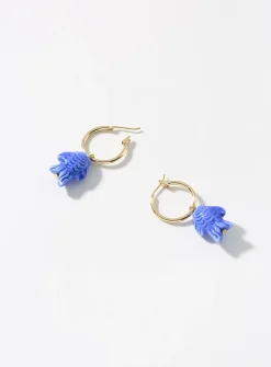 Blue-fish hoops