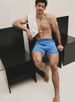 Blue-hued boxer