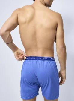 Blue-hued boxer