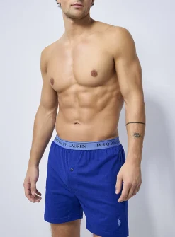 Blue-hued boxer