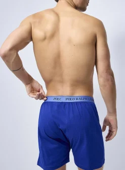 Blue-hued boxer