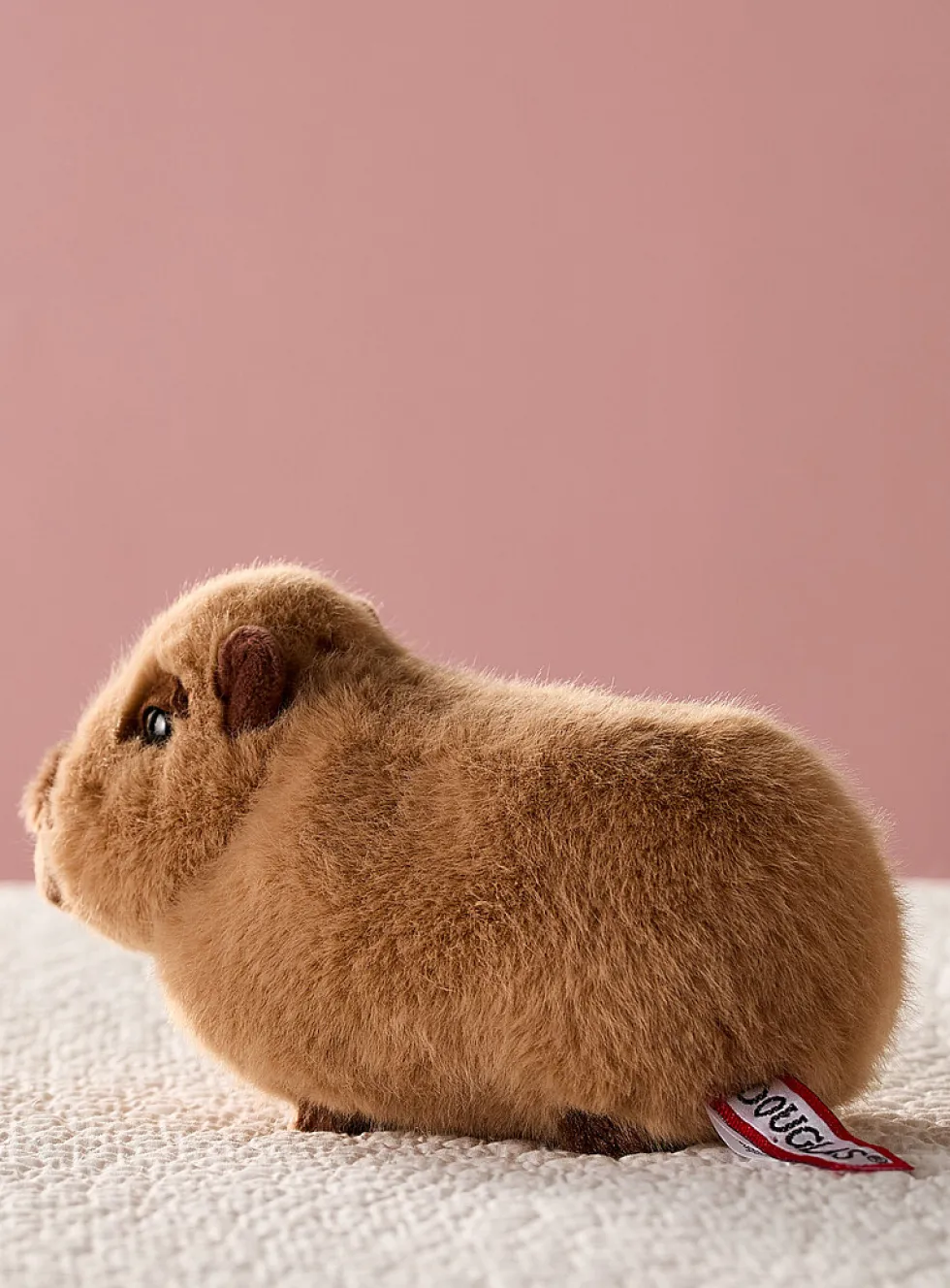 Chattie small capybara plush