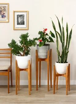 Cherry wood plant stand