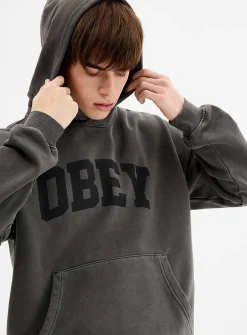 Collegiate pigment hoodie