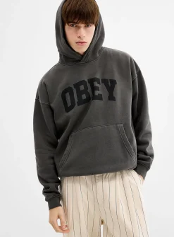 Collegiate pigment hoodie