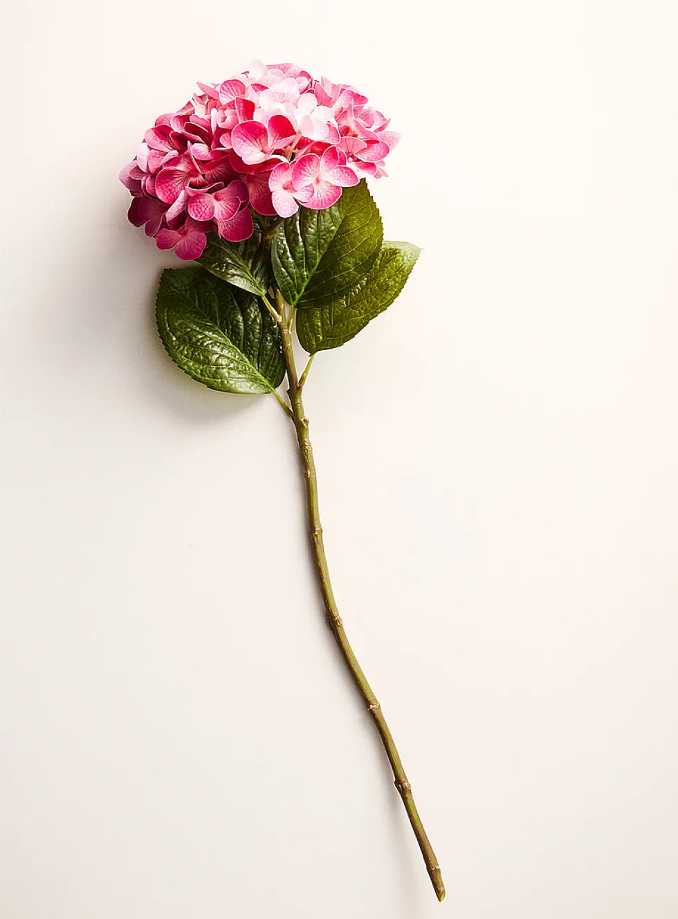 Colourful artificial hydrangea branch
