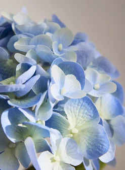 Colourful artificial hydrangea branch