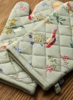 Colourful birds accessories