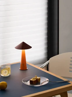 Colourful portable LED lamp