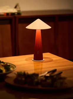Colourful portable LED lamp