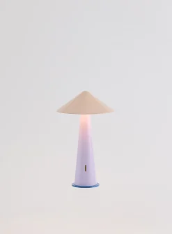 Colourful portable LED lamp