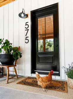 Contemporary door number