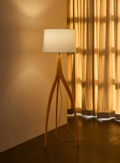 Continuum floor lamp