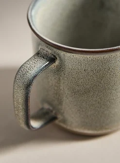 Contrasting trim speckled mug