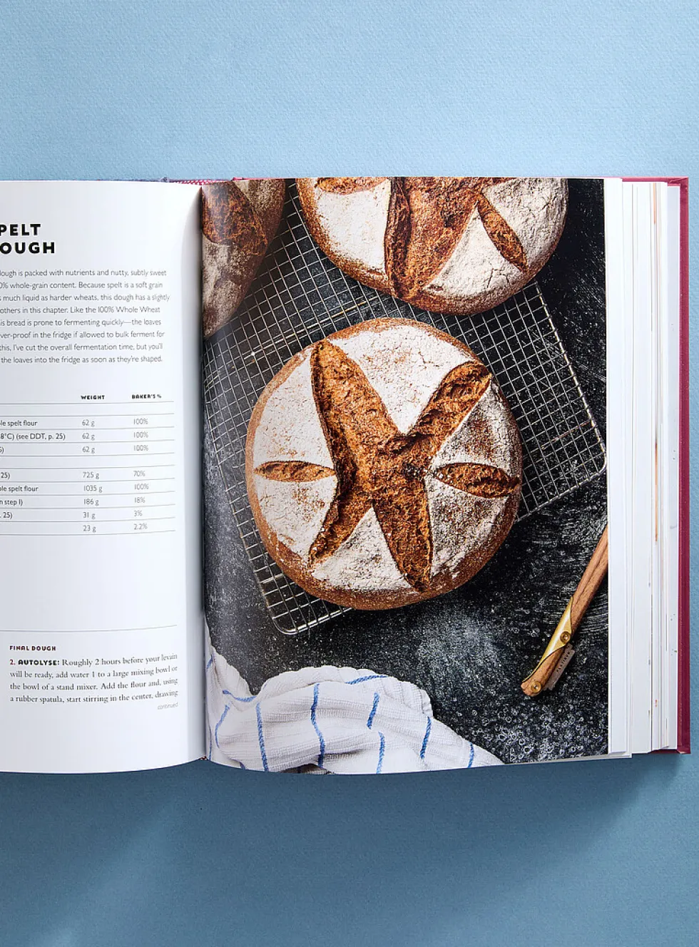 cookbook