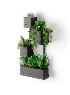 Cubiko wall planter