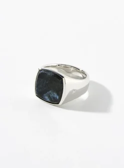 Cushion Larkivite signet ring