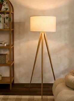 Director floor lamp
